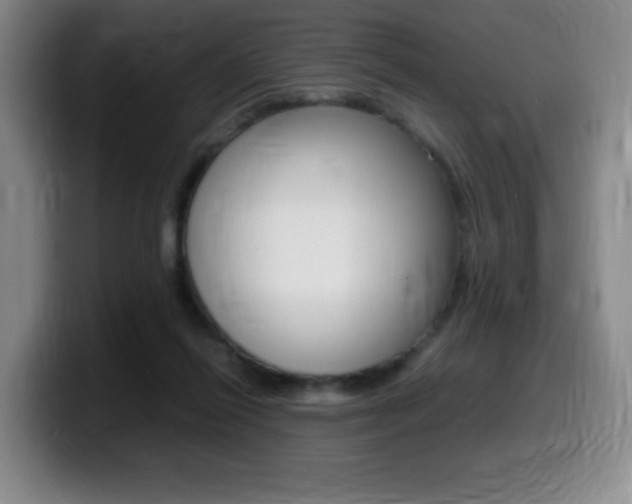 X0000099460262200805090753