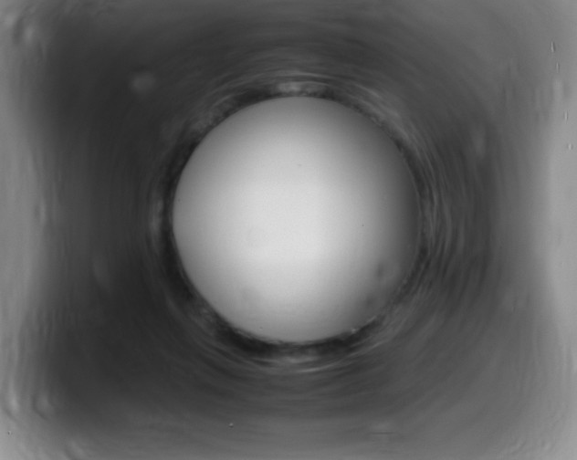 X0000099460263200805090753