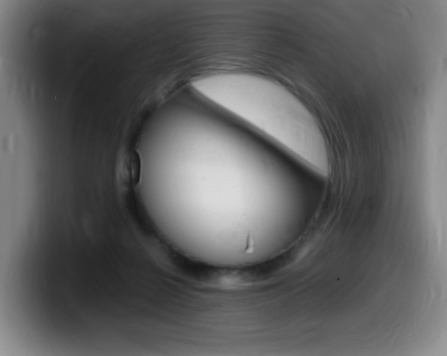 X0000099460264200805090753