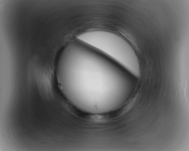 X0000099460265200805090753