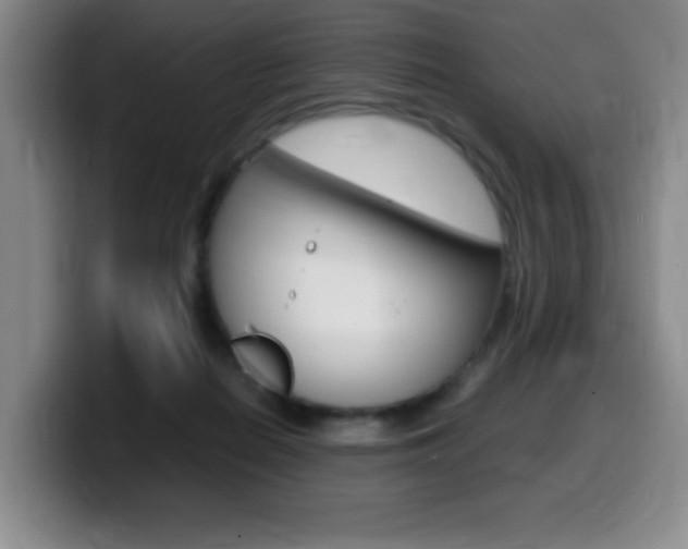 X0000099460266200805090753