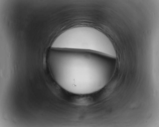 X0000099460267200805090753