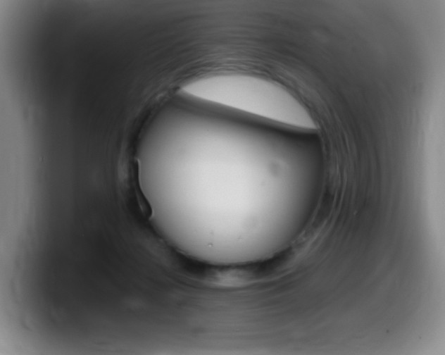 X0000099460268200805090753