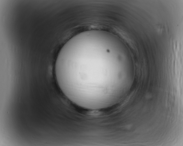 X0000099460269200805090753