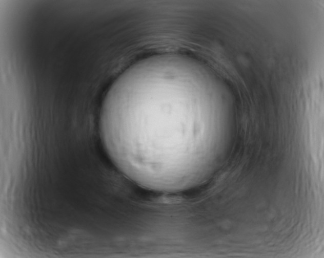 X0000099460270200805090753