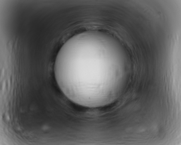 X0000099460271200805090753