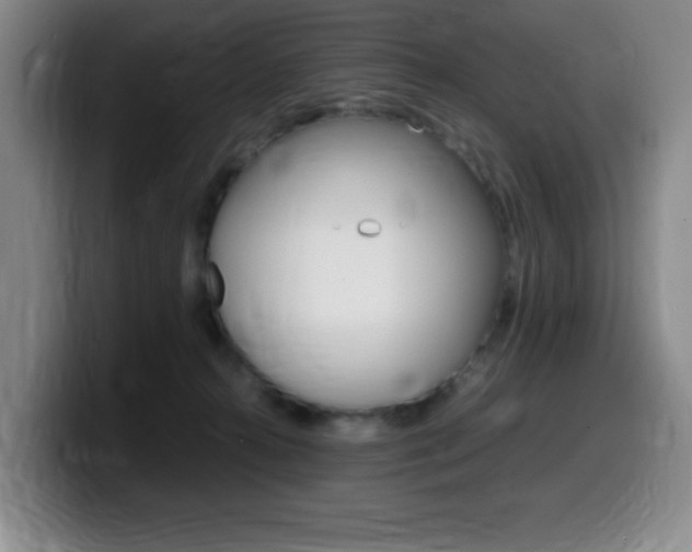 X0000099460272200805090753