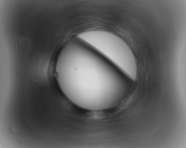 X0000099460273200805090753