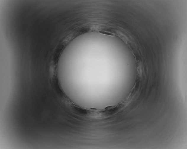 X0000099460276200805090753