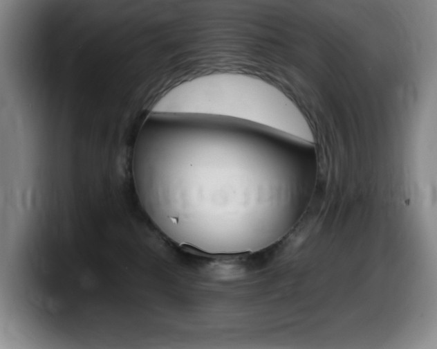 X0000099460280200805090753