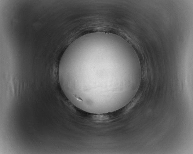 X0000099460281200805090753