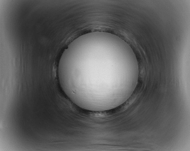 X0000099460282200805090753