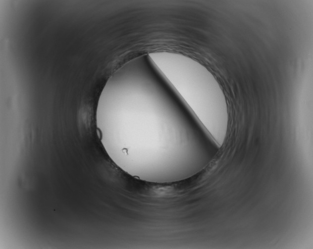 X0000099460283200805090753
