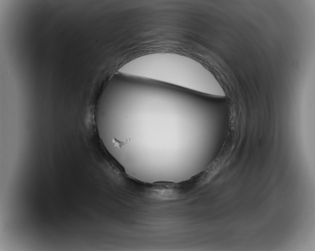 X0000099460284200805090753