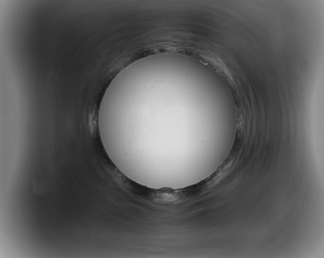 X0000099460285200805090753