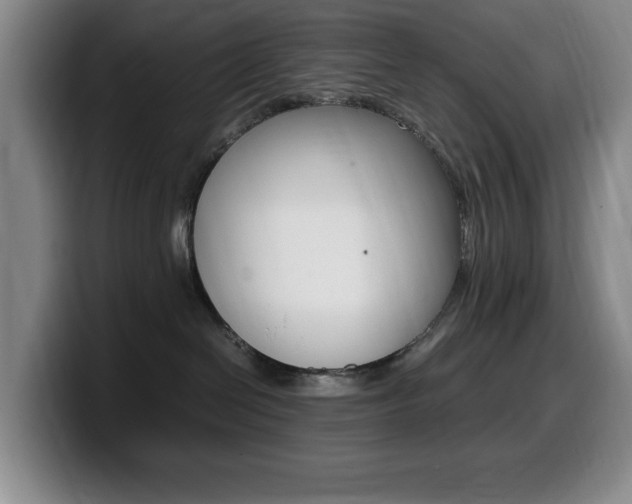 X0000099460286200805090753