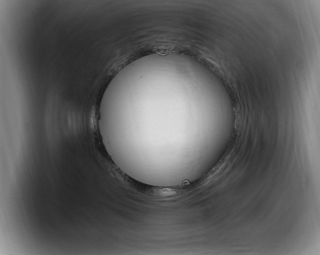 X0000099460287200805090753