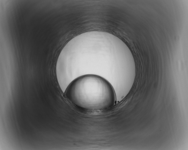 X0000099460288200805090753