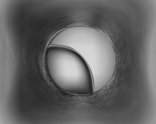 X0000099460289200805090753