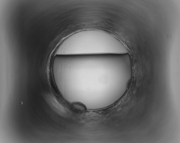 X0000099460290200805090753