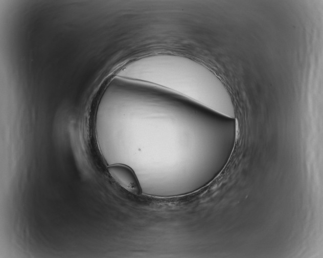 X0000099460291200805090753