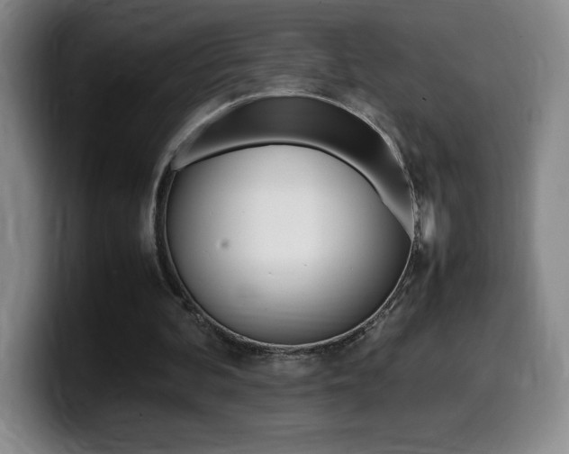X0000099460292200805090753