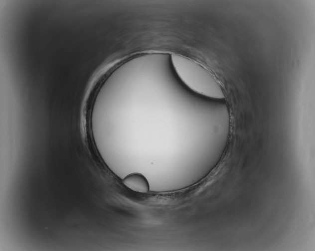 X0000099460294200805090753