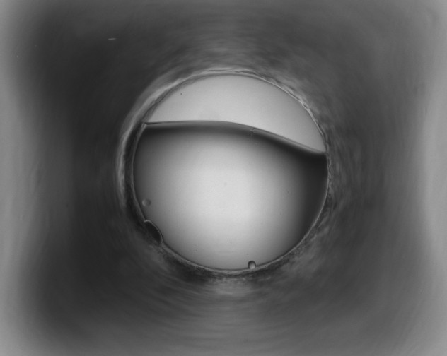 X0000099460296200805090753