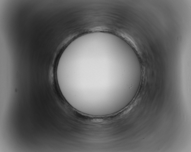 X0000099460298200805090753