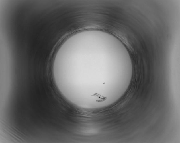 X0000099460300200805090753