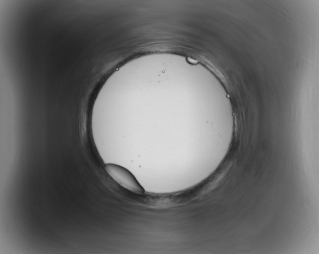 X0000099460301200805090753