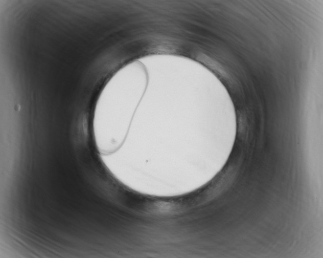 X0000099460302200805090753