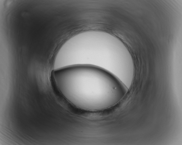 X0000099460303200805090753