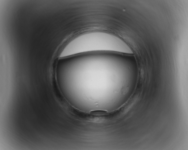 X0000099460304200805090753
