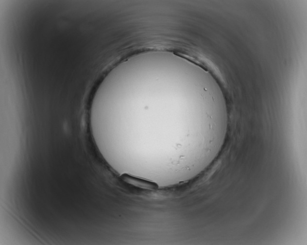 X0000099460305200805090753