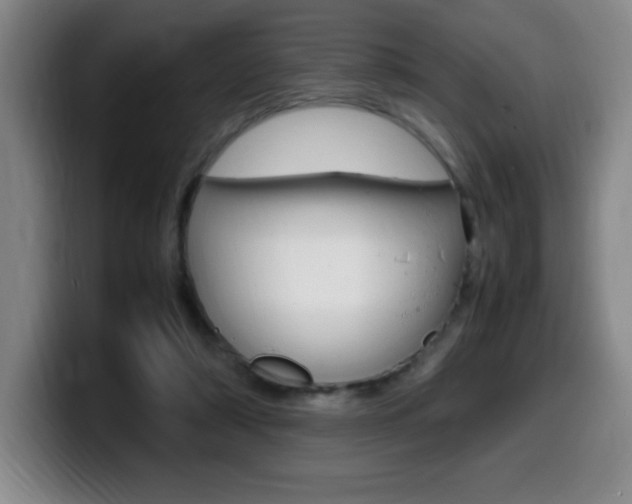 X0000099460306200805090753