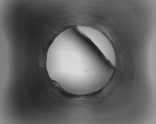 X0000099460307200805090753