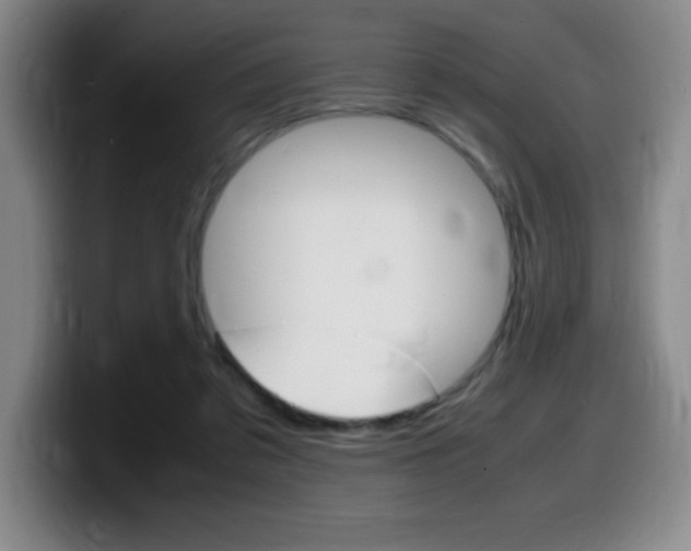 X0000099460309200805090752