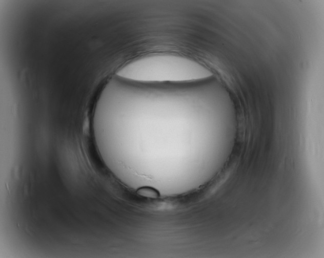 X0000099460310200805090752