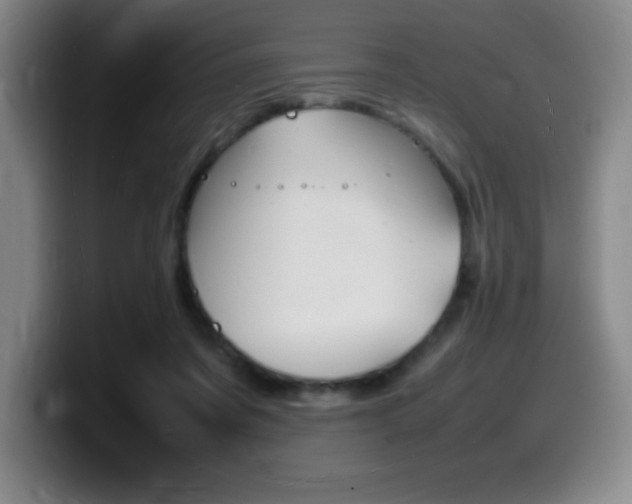 X0000099460311200805090752