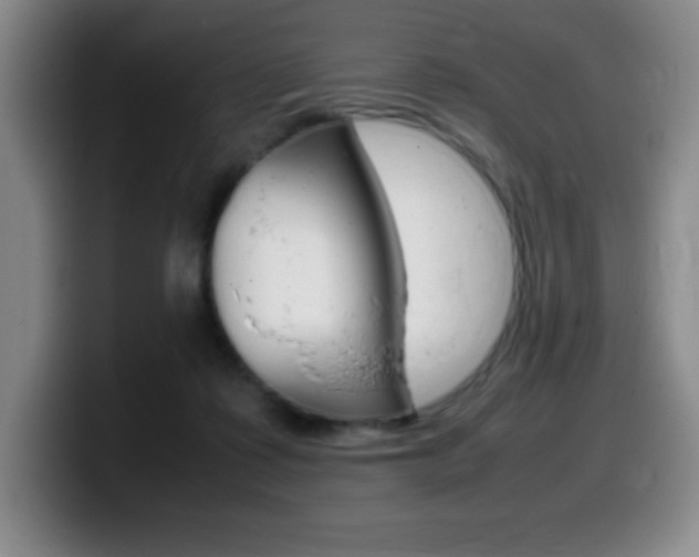 X0000099460315200805090752