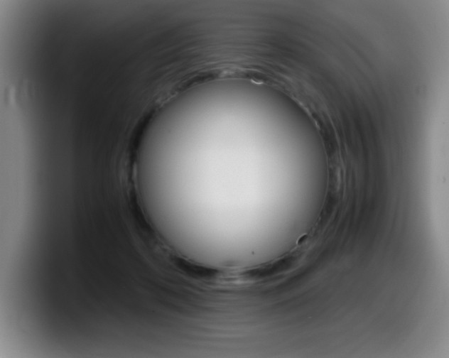X0000099460316200805090752