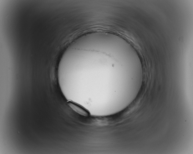 X0000099460317200805090752