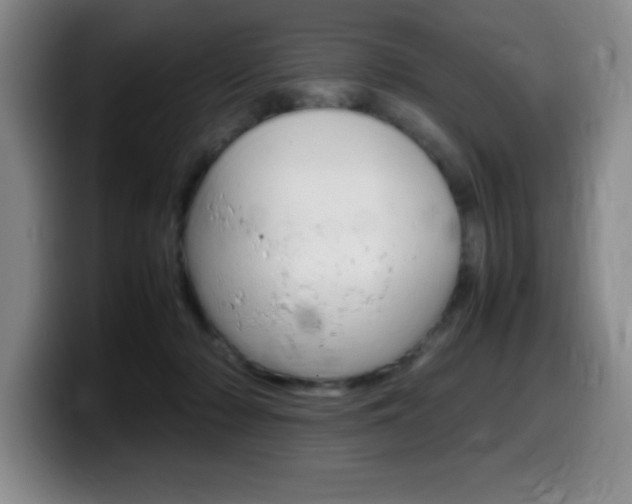X0000099460318200805090752