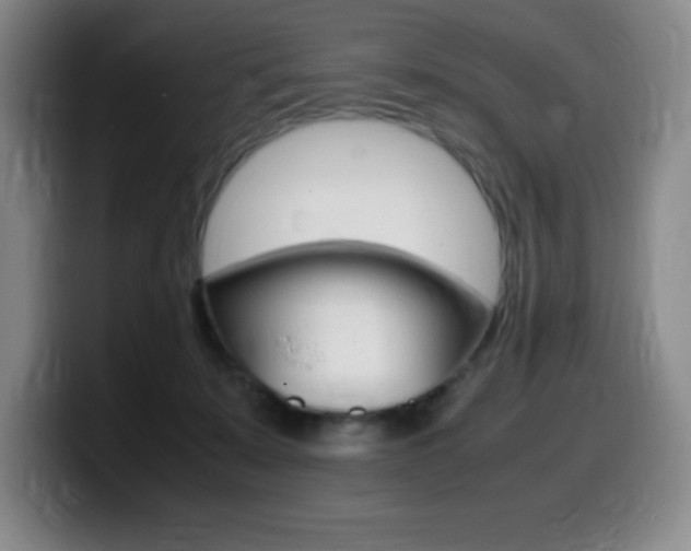 X0000099460319200805090752