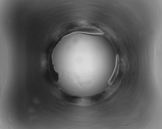 X0000099460320200805090752