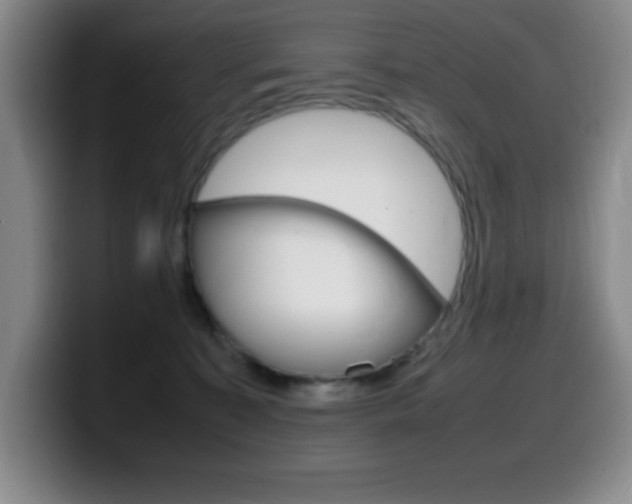 X0000099460323200805090752