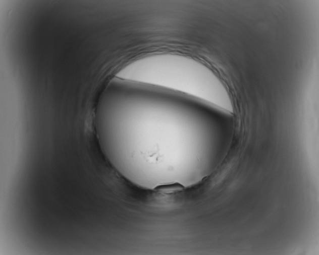 X0000099460325200805090752