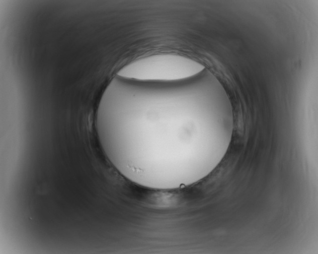 X0000099460326200805090752