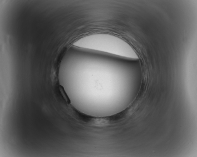 X0000099460327200805090752